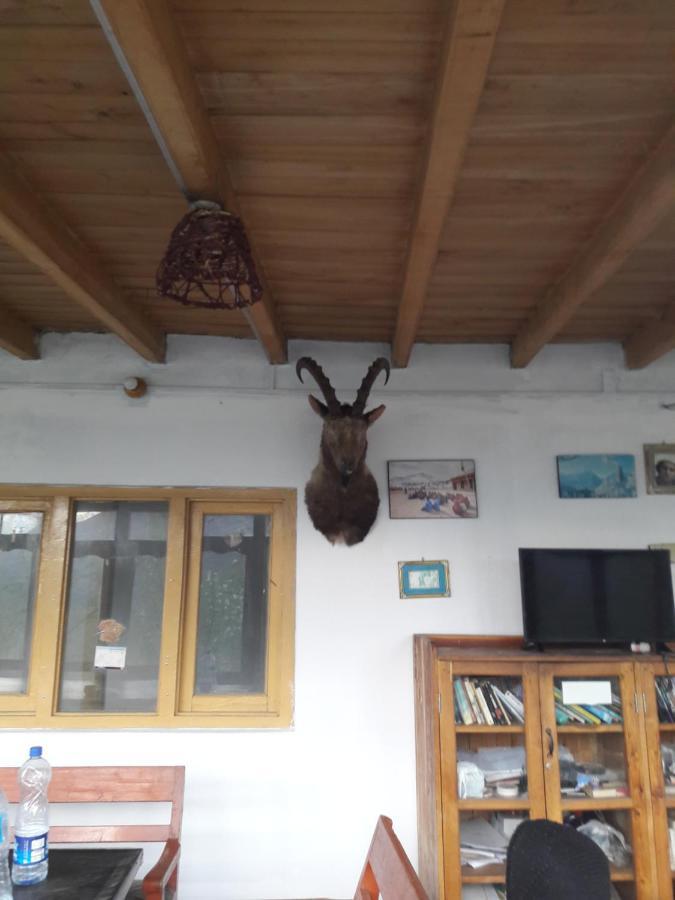 Tourist Cottage Hunza Karimabad  エクステリア 写真